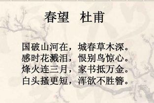 10句关于爱国情怀的诗句
