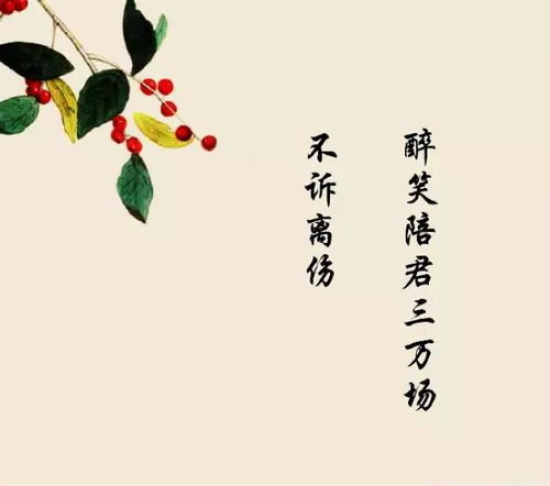 诗句,不远,距离