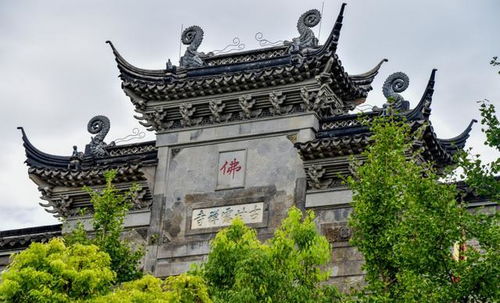 含有墨客的诗句,形容墨客的诗句,墨客描写丁香的诗句