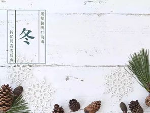 诗句,冬天