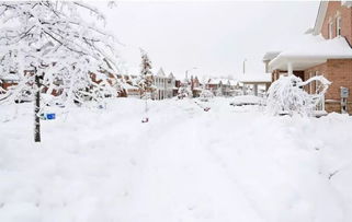 冬下雪爱情古诗句