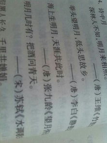 诗句,描写,拥有,书籍