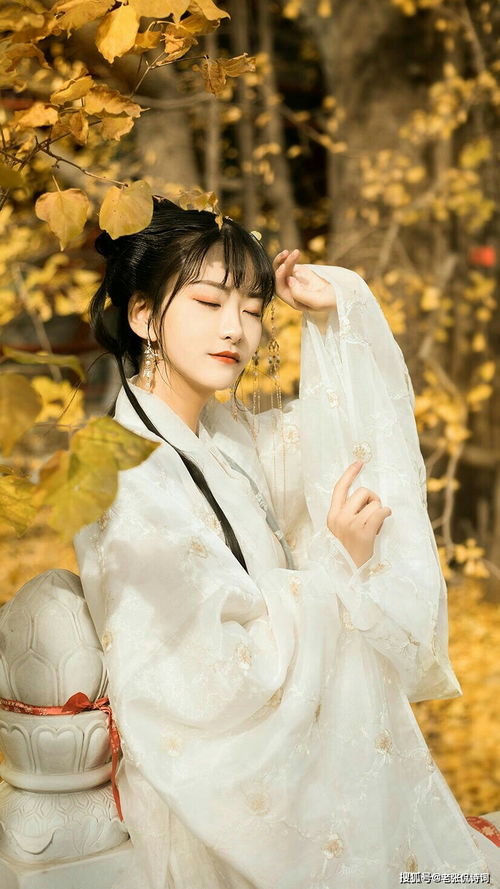 描写人眼睛美的古诗句