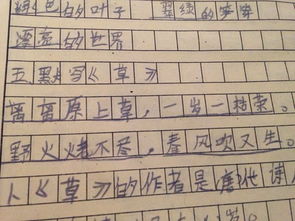 反义词的古诗句