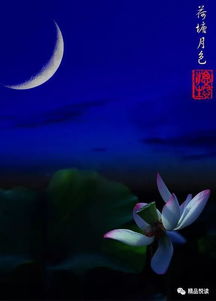 描写月色的古诗句,描写江面的古诗句,描写冬天江面的古诗句