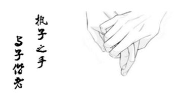 关于相守医生的诗句