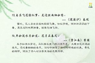 古诗中运用比喻的诗句是