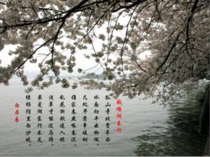 古诗描写桃花的诗句有哪些,大林寺桃花古诗描写桃花的诗句,描写桃花的诗句古诗三年级