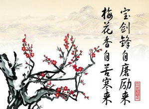 咏荷花的诗句古诗,关于写荷花的诗句古诗,关于赞美荷花的诗句古诗