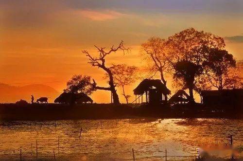 写一句表达思乡情感的古诗句