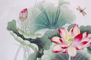 关于荷花的诗句与名篇