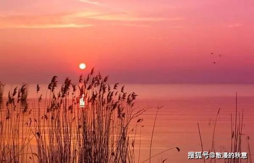 诗句,江水,夕阳
