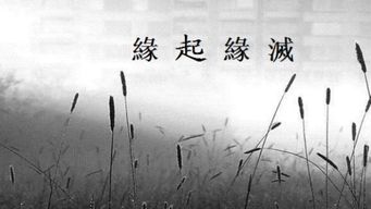 关于缘分尽了的诗句