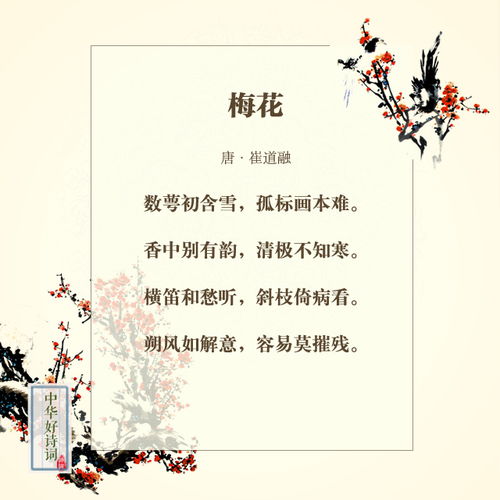 关于梅花的成语与诗句