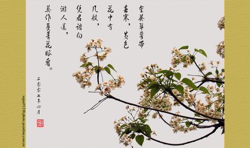 诗句,春来