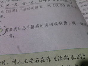 思乡友情的诗句古诗