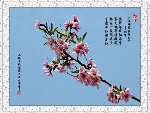 古诗配画桃花的诗句