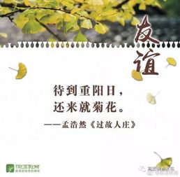 关于即将毕业的诗句