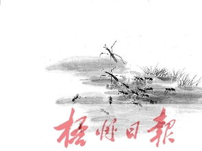 目的,诗句