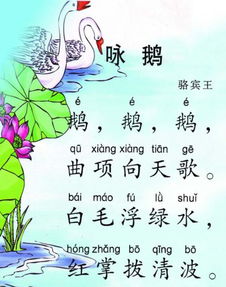 古诗句类老师赠学生寄洛