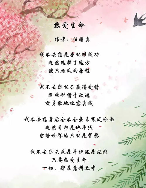 诗句,挫折,面对