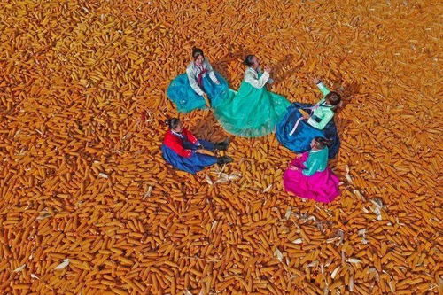 关于多姿多彩的诗句