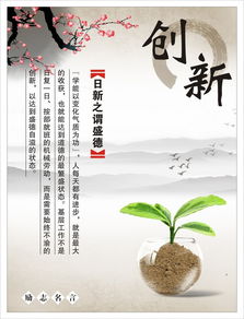 诗句,组织,创新