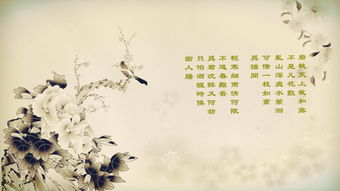 描写太阳的诗句古诗词精选