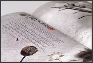 古诗,诗句,故乡,美好