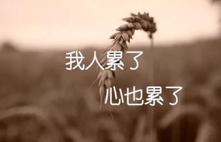 关于心烦的古诗句子