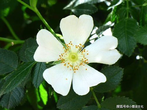 关于水的坚持不懈的诗句,形容坚持不懈的诗句,比喻坚持不懈的诗句