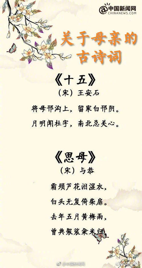 关于母爱的诗句是什么意思