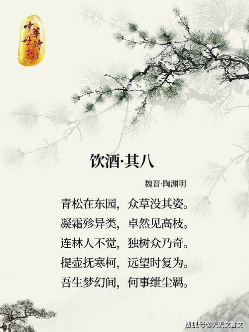 关于松树与雪的诗句