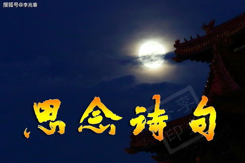 关于思念的诗句古诗带意思