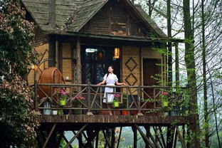 小院,山村,诗句,形容