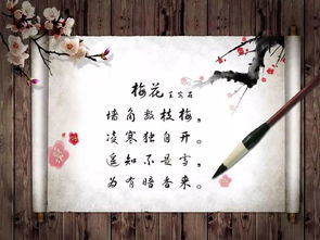 关于颂梅花的古诗句