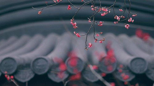 关于在困境时的古诗句