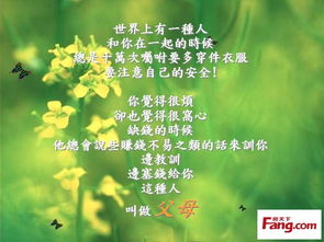 父母恩情的古诗句