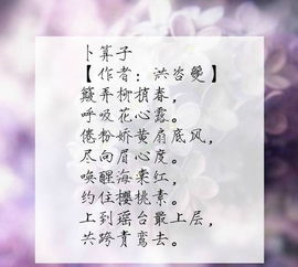 关于沁和轶的诗句