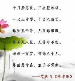 关于感恩孩子的诗句
