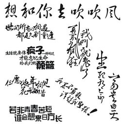 关于汽车的个性诗句