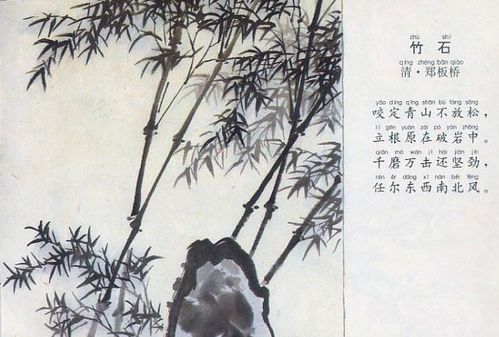 古诗,诗句,竹石