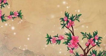 春花雪的诗句古诗