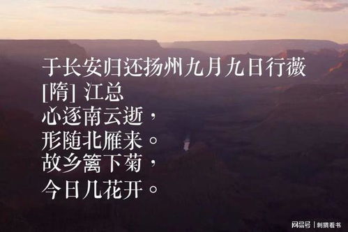 关于重阳节的诗句10首