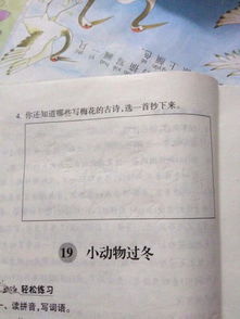 还知道g关于梅的诗句