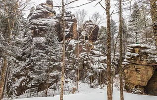 雪景,诗句,抒情