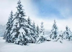 搜索关于写雪的名诗句