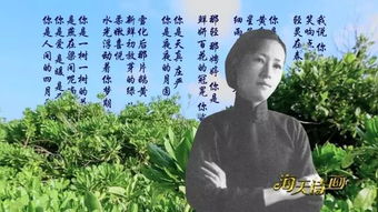 诗句,陪伴,选择