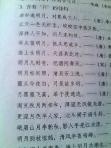 描写夏天的古诗句并造句