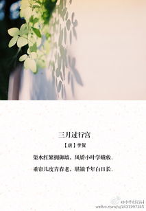 讲述享受青春华的古诗句